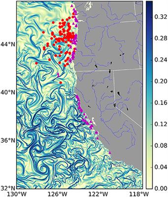 Fishermen Follow Fine-Scale Physical Ocean Features for Finance